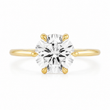 Terra Ring