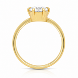 Terra Ring