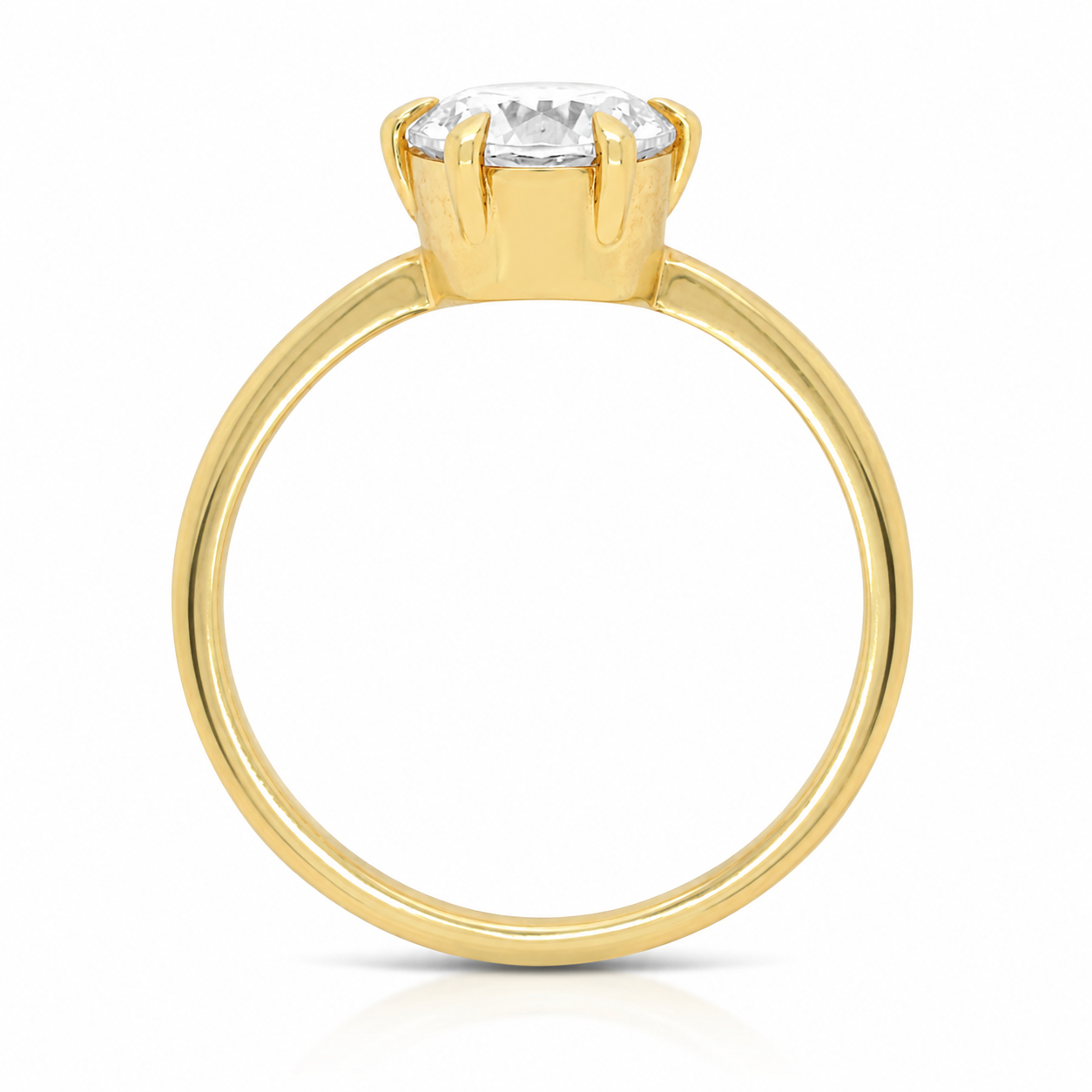 Terra Ring