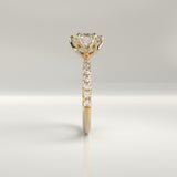 Allie